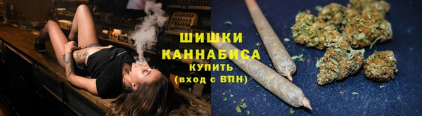 ГАЛЛЮЦИНОГЕННЫЕ ГРИБЫ Верея